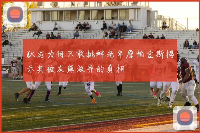 狄龙为何只敢挑衅老年詹帕金斯揭示其被灰熊放弃的真相