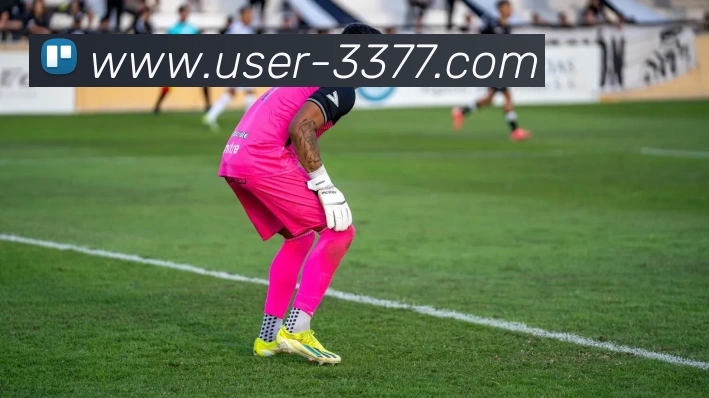 3377体育平台生态图